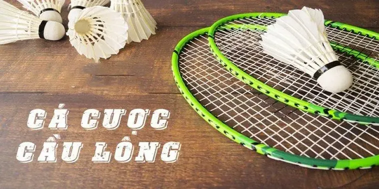 Bật Mí Cách Cược Cầu Lông Tại EV88 Chắc Thắng 99%
