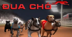 Bật Mí Cách Chơi Game Nhanh Đua Chó Tại EV88 Siêu Chuẩn